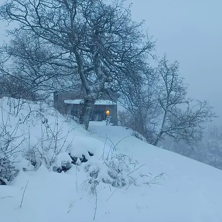 Ca Del Red Den